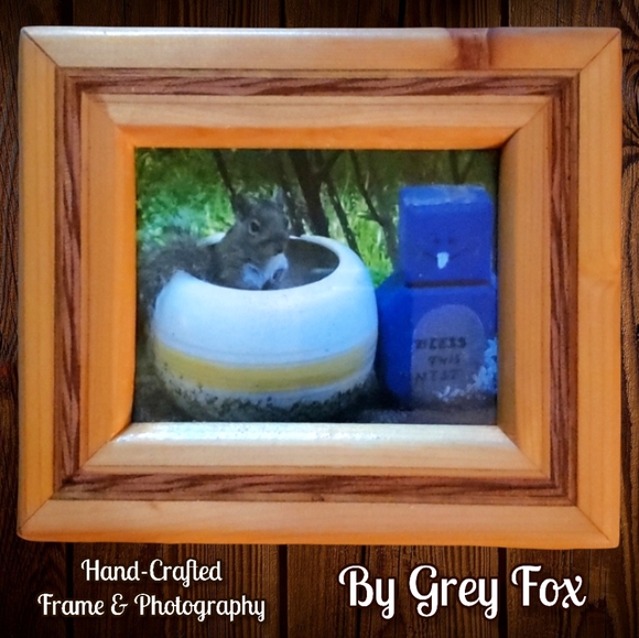 Grey Fox Visual Arts Other - Orig. Glass/Framed/Photography By Greyfox Squirrel